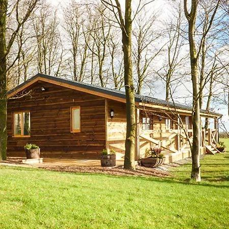 Valley View Lodge Trelystan Exterior foto